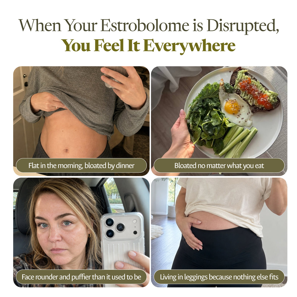 REACT Biome Estrobiotic