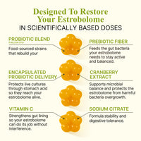 REACT Biome Estrobolome Gummies
